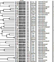 Jundishapur J Microbiol